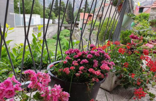 Apartment Bajama - Photo 31