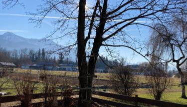 Familien-Appartement #10 Obermoosen - Foto 5, Garden