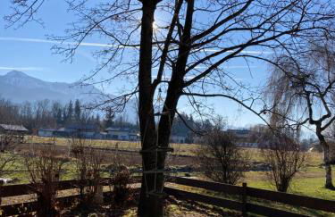 Familien-Appartement #10 Obermoosen - Foto 5