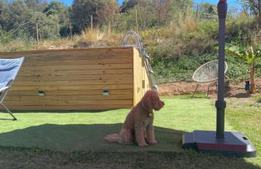 La Caseta de Raquel - Foto 13