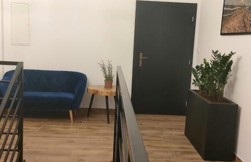 Kraina Rysia - Photo 21