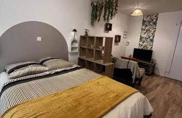 Studio cosy dans le cœur de Castelsarrasin - Foto 3