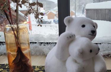 Duplex les Myrtilles LES CARROZ centre station - Photo 46