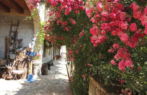 Resort Villa Manin - Foto 45