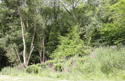 Woodpecker Cottage - Foto 28