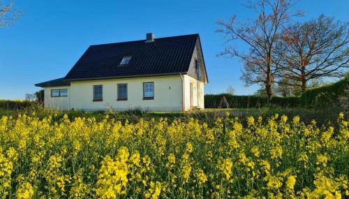 Ferienhaus Loimoos - Foto 2