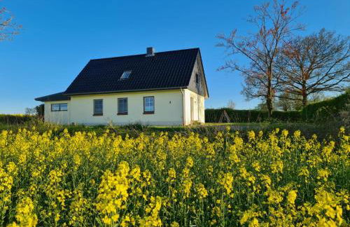 Ferienhaus Loimoos - Foto 2