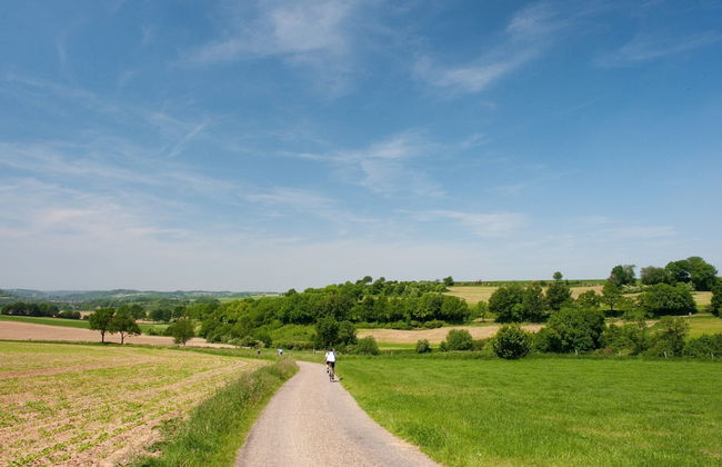 Holiday Home in Limburg With Outdoor Fireplace - Photo 34