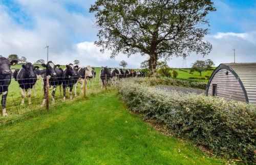 1 Bed in Gwyddelwern 80320 - Foto 14