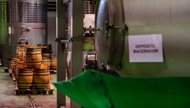 Visita la Bodega Más Antigua de Málaga y Cata de Vinos - Foto 5