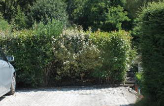 Au Cœur De La Riviera Des Alpes T2 - Foto 9