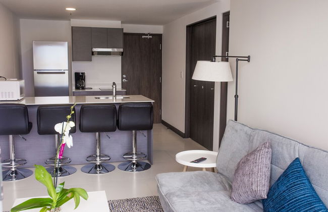 U Nunciatura 1Br Apartment - Photo 10