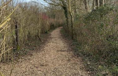 3 Bed Luxury Lodge - Foto 9