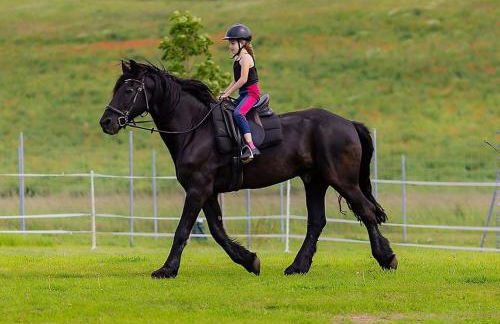 Landkulturhof Glücksbringer - Foto 16