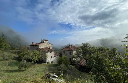 Bio Agriturismo il Vigno - Foto 138