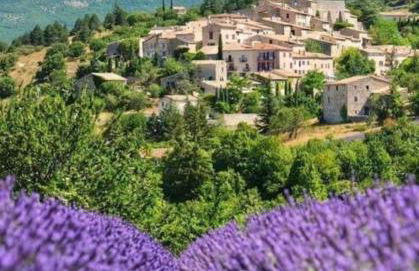 Les Dentelles du Ventoux - Gîte avec Piscine - Photo 37