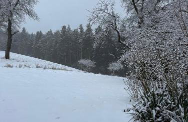 Apartment Waldblick - Entspannung auf dem Land - Foto 34