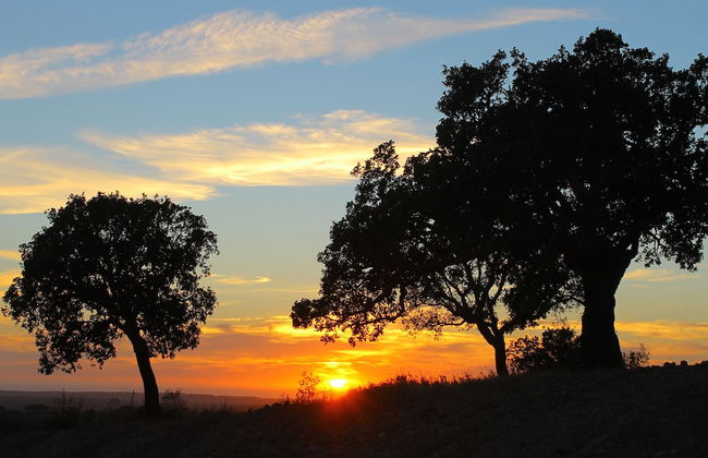 Monte Sardinha - Foto 57