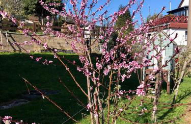 Mandauhaus Großschönau - Foto 29