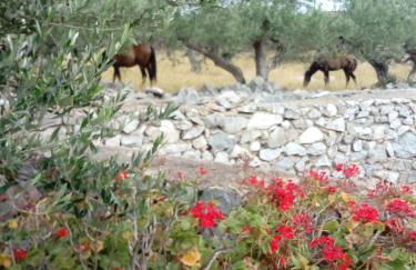 Charouda Stone Tower - Foto 19