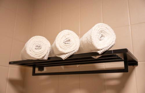 Central Apartment near Basel - Buisness&Holiday - Foto 23