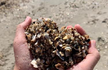 Meerblick 43 - Foto 1