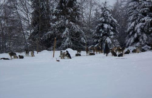 Studio cosy 2 pers avec terrasse, Barèges - Proche thermes et ski, navette gratuite - FR-1-403-102 - Foto 10