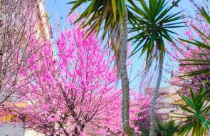 Rome Sweet Home - Foto 38