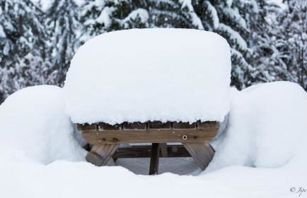 Chez Francine - Photo 12