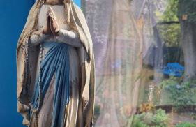 Niezapominajka - Foto 32