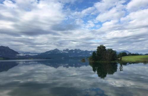 Apartment in the Allgau With View of the Bavarian Alps - Photo 56