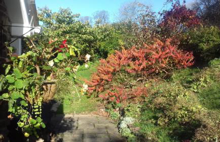 Laugharne Cottage Golwg Harddwch - Photo 20