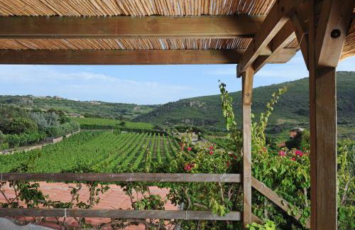 Casa nel vigneto con vista mare - Foto 6