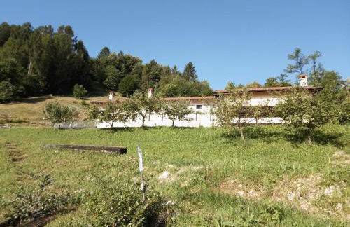 Agriturismo La Casa Nei Boschi - Foto 9