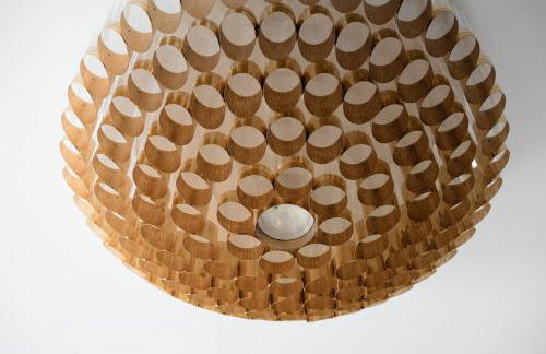 Altavista Roero - Foto 21