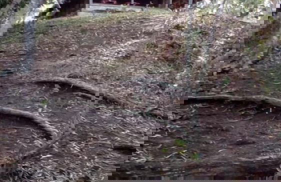 Mahun on the Lagoon Bungalows - Photo 16