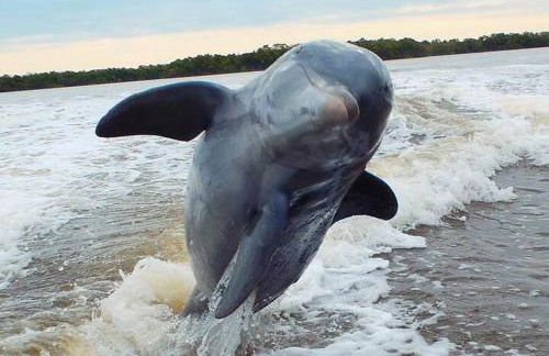 5* 3 BR 3 BA Home 4 min walk to beach & JW Marriott w/heated pool - Foto 49