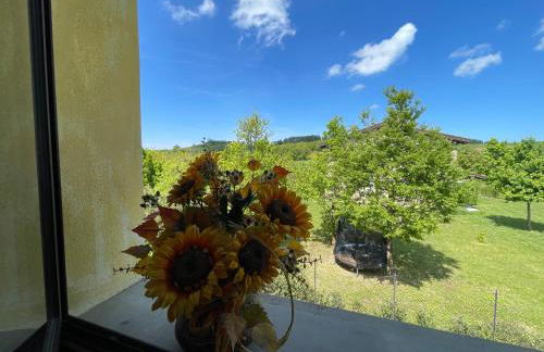 Villa Cavalieri in Vedriano - Foto 7