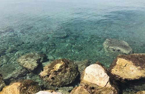 AFISSOS-DREAM 3STUDIOS - Photo 56