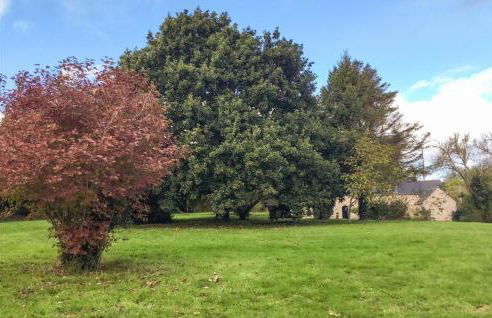 Beautiful Home In Plouézec With Wifi - Foto 12