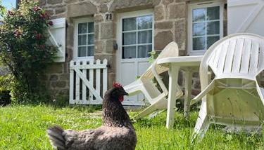 Gîtes Le Fer A Cheval Vassivière - Foto 2