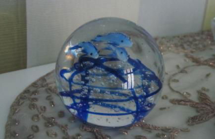 Il Giovaiellino - Foto 7