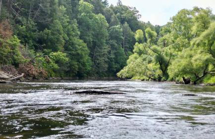 Luxury Riverfront Lodge - Sleeps 12, VIEWS, Fireplaces, Dogs OK - Photo 53