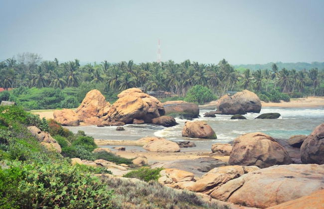 Redhill Yala - Photo 27