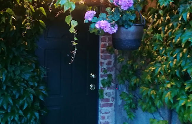 Cascina Moretta - Foto 20