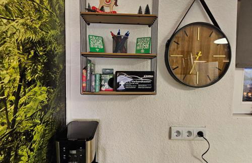 Grünhäuschen im Erzgebirge, 620 m üdM - Foto 12