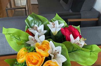 Reims Saint-Remi - Foto 38