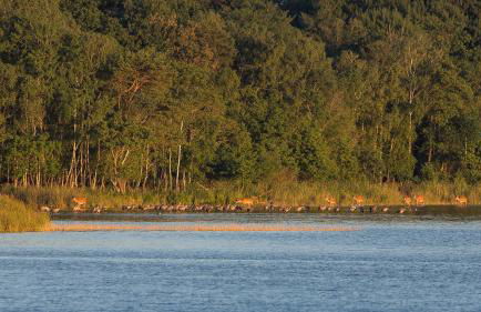Ferienwohnung Maribell Jabel - Foto 24