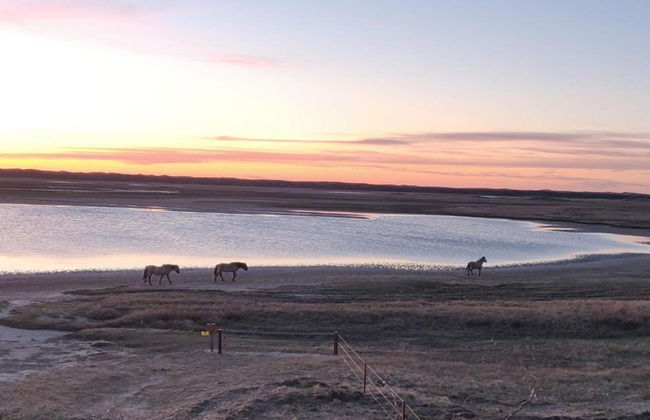 Traditional Villa With Dishwasher on Texel Near the Sea - Foto 27