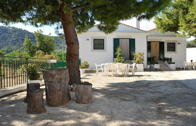 Case Vacanze L'Uliveto - Foto 49